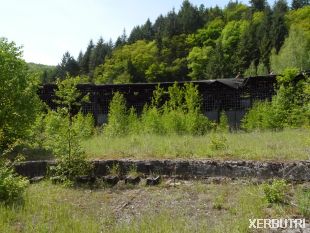 In bos verstopte ingestorte treinloods bezocht door Team Xerbutri