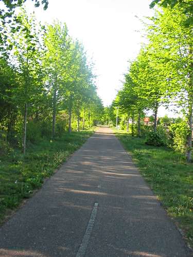 Weerdinge cycle track