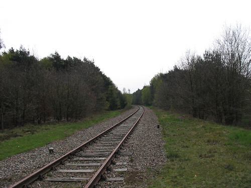 The line runs on a dike through pastures and later through a nature reserve named Meinweg.