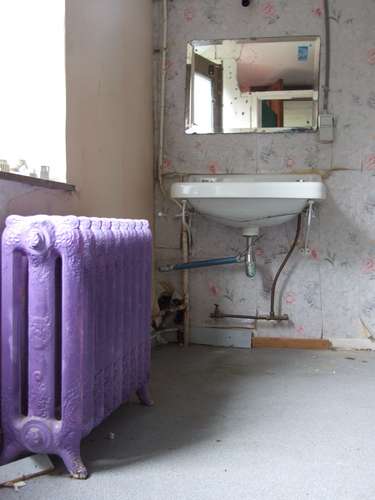 Purple radiator