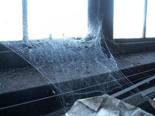 Steenkoolmijn Hasard, spinnenweb